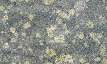 3D TEXTURES