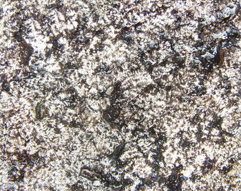 3D TEXTURES