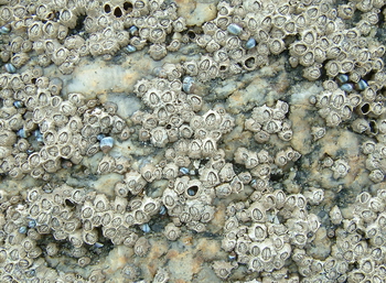 3D TEXTURES
