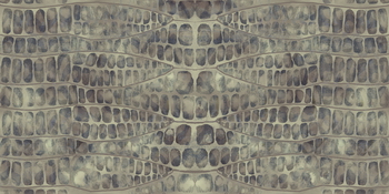 3D TEXTURES