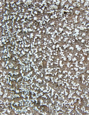 3D TEXTURES