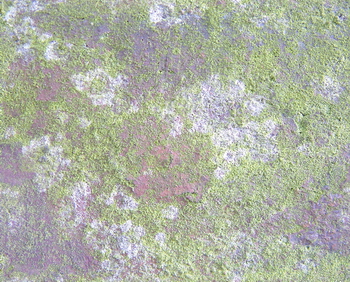 3D TEXTURES