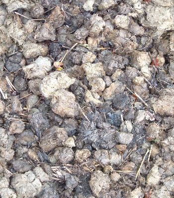3D TEXTURES