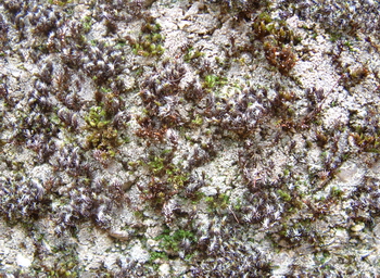 3D TEXTURES
