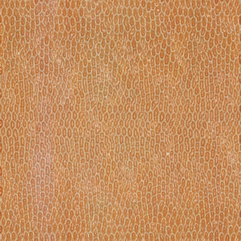 3D TEXTURES
