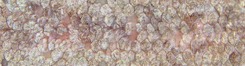 3D TEXTURES
