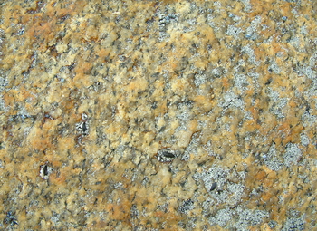 3D TEXTURES