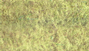 3D TEXTURES