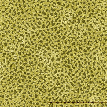 3D TEXTURES