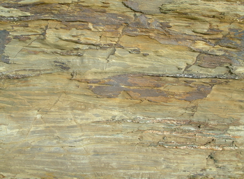 3D TEXTURES