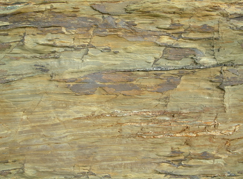 3D TEXTURES