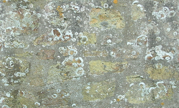 3D TEXTURES