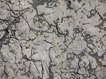 3D TEXTURES