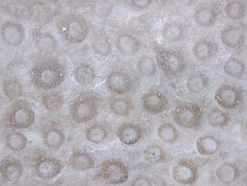 3D TEXTURES