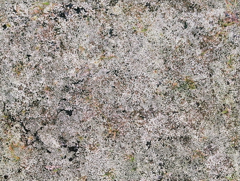 3D TEXTURES