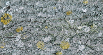 3D TEXTURES