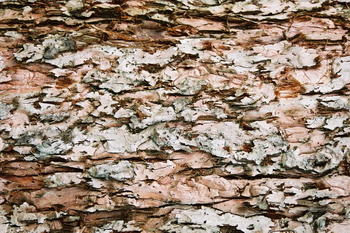3D TEXTURES