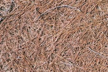 3D TEXTURES