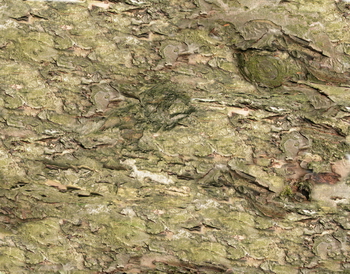 3D TEXTURES