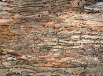 3D TEXTURES