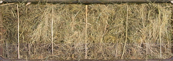 3D TEXTURES