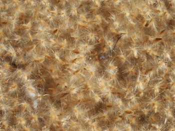 3D TEXTURES