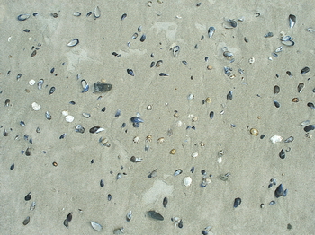 3D TEXTURES