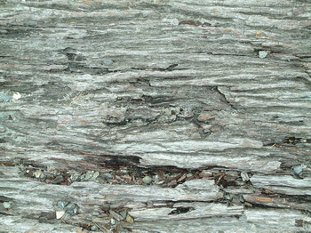 3D TEXTURES
