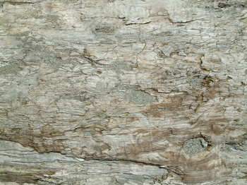 3D TEXTURES