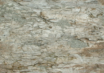 3D TEXTURES