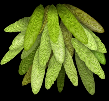 3D TEXTURES DOWNLOAD
