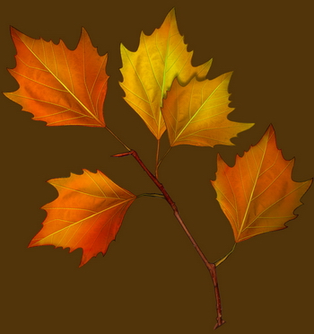 3D TEXTURES DOWNLOAD