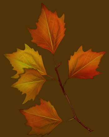 3D TEXTURES DOWNLOAD