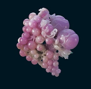 Sparkling fruit grapes Purple Jade 3d texture mapping