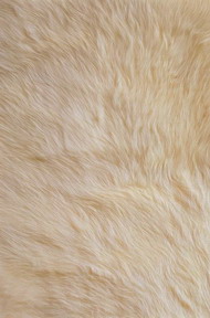 Yellow fur 3D texturing download