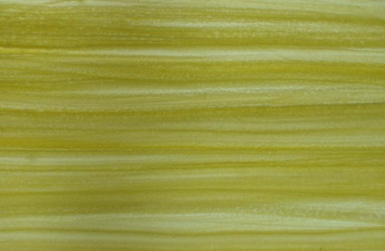 Jade agate jade 3D texturing free download NO.2