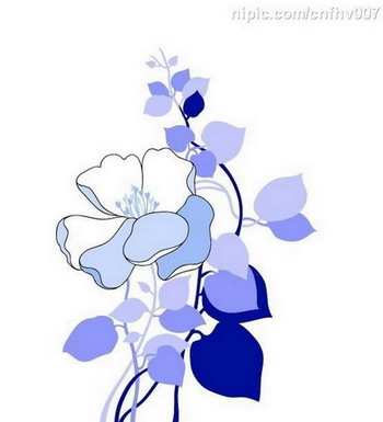 Common household decorative wall graphic flower in the case of the beautiful chapter NO.1
