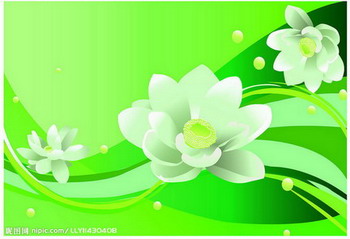 Common household decorative wall graphic flower in the case of the beautiful chapter NO.2