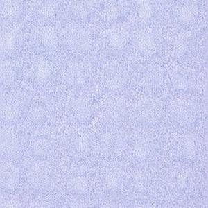 HPL 3dsmax texturing free download NO.1