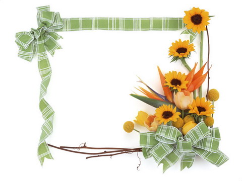 Common Classic Lace Frame