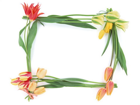 Common Classic Lace Frame