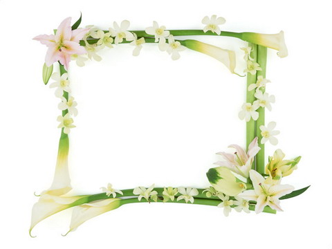 Common Classic Lace Frame