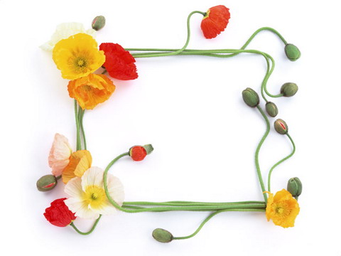 Common Classic Lace Frame