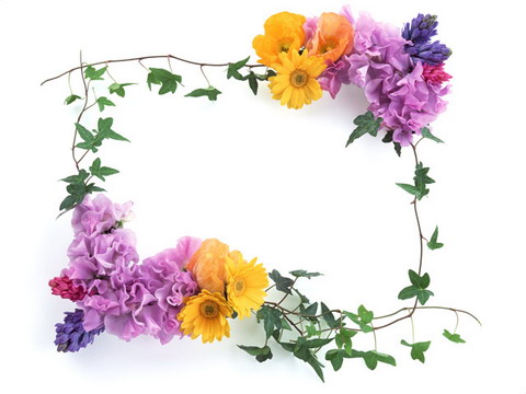 Common Classic Lace Frame