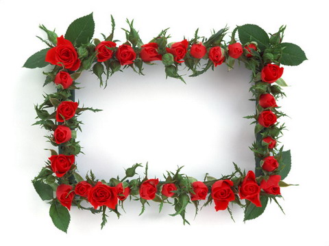 Common Classic Lace Frame