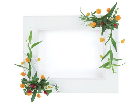Common Classic Lace Frame