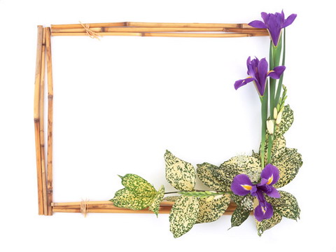 Common Classic Lace Frame