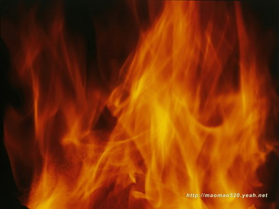 Fire Mapping