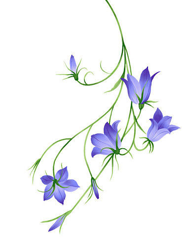 Hand-painted wall texture, flowers, simple painted walls
