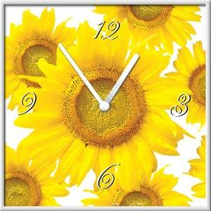 Collection of Clock Dial Pattern